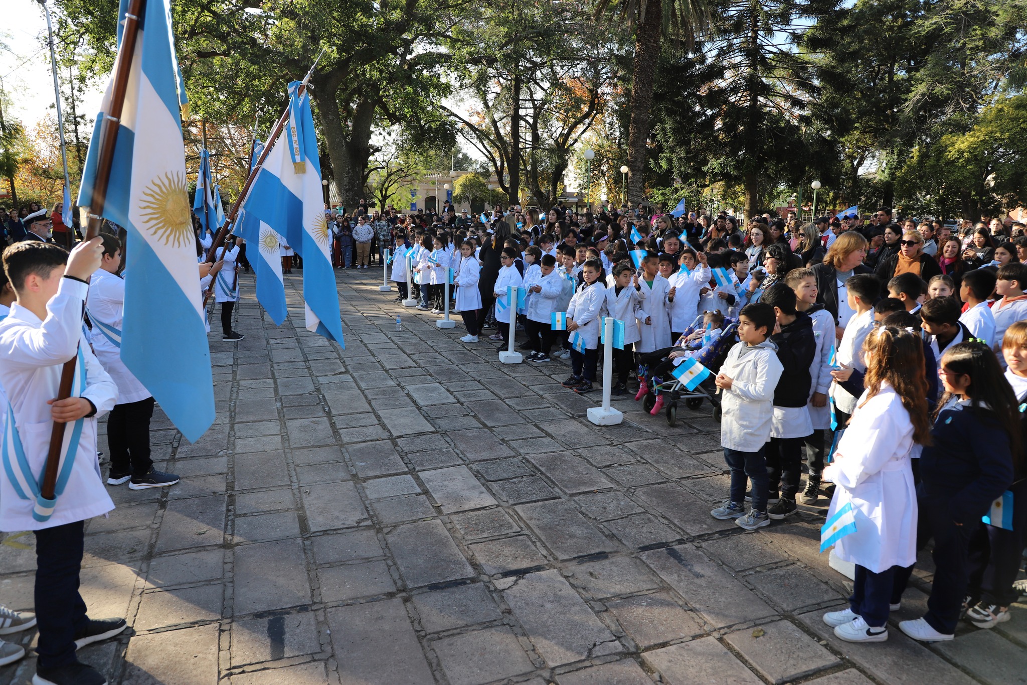 Imagen adicional