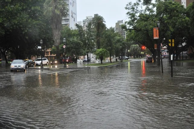 Imagen adicional